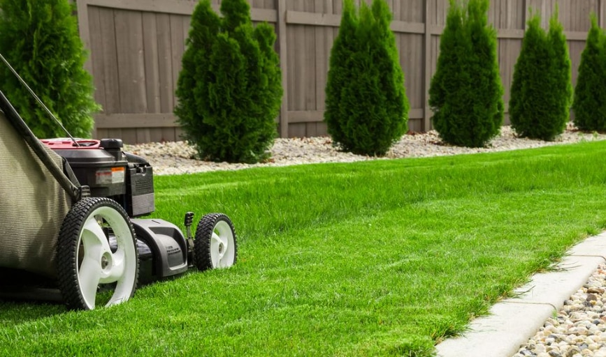 Lawn Care